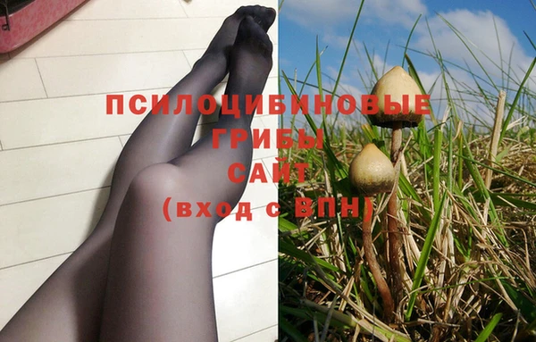 эйфоретик Козловка