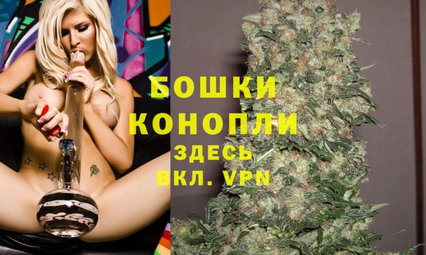 гидропоника Кодинск