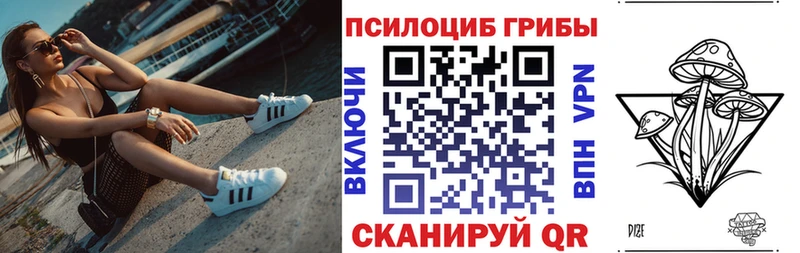 Купить закладки  Вышний Волочёк  Псилоцибиновые грибы мицелий 